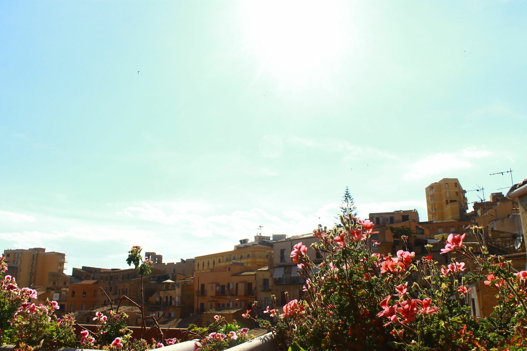 Atenea 191 Agrigento Exteriér fotografie